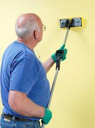 Every Month Keep A Day Aside To Clean The Walls Use A Sponge And Mild Soap Solution And Lightly Scrub The A House Cleaning Tips House Painting Diy Renovation