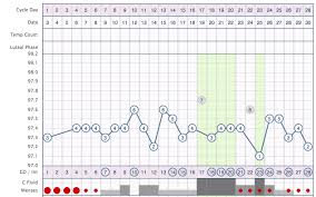 Image result for Anovulation