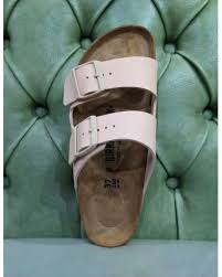 Image result for Arizona Beige 2021 Fleet