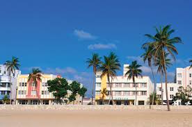 A miami beach sanctuary inspired by nature. Miami Beyond The Palm Trees Americas Quarterly