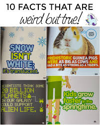 Still, a number of the strange but true facts below actually are proven, and we hope you enjoy both the fictional funny facts and the weird but true facts presented below. Snow Isn T White It S Translucent And More Weird But True Facts