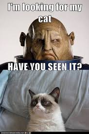 Pin By Marie On Doctor Who Doctor Who Memes Grumpy Cat Funny Cat Memes