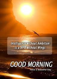 Pin On Good Morning Quote