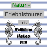 / neptun hallgatói web dokumentáció neptun. Haus Neptun Juist Belegungen 2021 Preise Buchungsanfrage