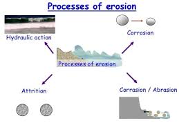 Marine Processes Facts Summary A Level Geography