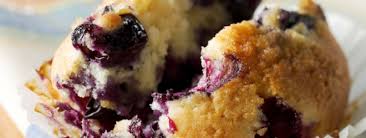 Succulents Muffins Aux Bleuets Maison Low Sugar Blueberry Muffins Sour Cream Blueberry Muffins Muffin Recipes Blueberry