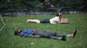 It's 1,371 miles or 2206 km from texarkana (arkansas) to new york city, which takes about 20 hours, 6 minutes to drive. As Climate Changes Imagine New York Feeling Like Arkansas Here S How U S Cities May Change By 2080 Marketwatch