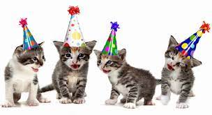 Found On Bing From Allfashions Bid Happy Birthday Cat Cat Birthday Happy Birthday Cat Gif
