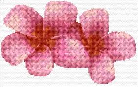 149 across by 114 down. Hawaii Flowers Cross Stitch Designs