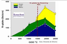 Wheat Down And Dirty With Npk