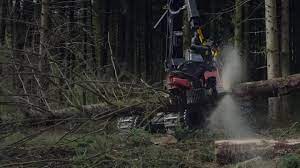 Regarde chez nous les derniers nouveaux films sortis en streaming gratuit en bonne qualité hd sans limite et inscription. Le Temps Des Forets 2018 Imdb