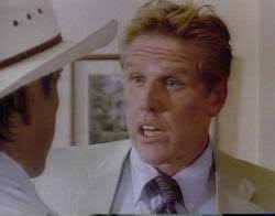 My Heroes Have Always Been Cowboys