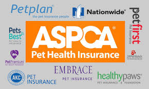 Check spelling or type a new query. Top 10 Best Pet Insurance For Dog By Dogmal Com