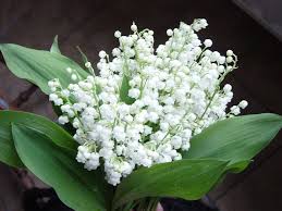 Bouquet de muguet gratuit avec text : Un Brin De Muguet Pour Vous Chez Laramicelle