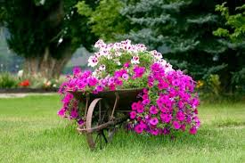 Unusual Garden Decorations Wheelbarrow Garden Wheelbarrow Planter Garden Decor