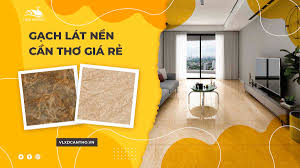 Gạch giá rẻ Cần Thơ | Top 5 cửa hàng bán gạch giá rẻ tốt nhất Cần Thơ