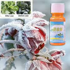 Production of antifreeze in plants. 1pcs Tuyouta Plant Antifreeze Special Cold Antifreeze 20ml For Flowers N7y1 Eur 1 98 Picclick At