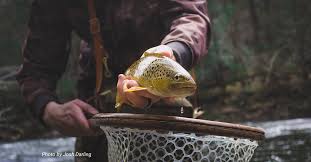 A fly fishing rod and reel can cost a couple hundred dollars alone and that doesn't even take into account buying the however, let's talk about the different fly rigs you can use on your spinning gear. Fly Fishing In The Winter The Go To Nymphing Rig Troutbitten
