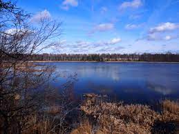 From old swedish iärver, of debated origin. Elistvere Jarv Vikipeedia