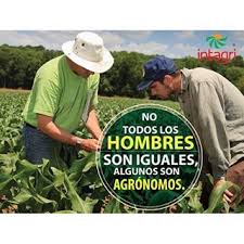 Un ingeniero agrónomo es un técnico especializado en apoyo y asesoramiento agrícola para mejorar la producción de suelos y cultivos, basándose en ¿por qué elegir a un ingeniero agrónomo de agroingenia canarias? Ing Agronomo Elagronomo Instagram Tracking Tool Agronomo Dia Del Agronomo Dia Del Ingeniero