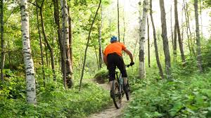 Spring Mountain Biking In 2020 Minnesota Nature Grand Rapids Mountain Biking