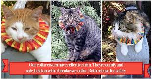 Birds Be Safe Collar We Help Birds Be Safe From Cats Cat Collars Bird Collar Cats