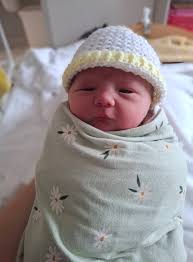 Enjoyed tiller counts this morning in an impressive looking barley crop 💪  growing credit to Alex Grove