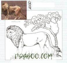 This page features the top 10 realistic coloring pages on the internet. Realistic African Lion Coloring Page With Photo Pdf Print Free