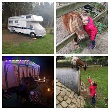 Na Das War Ein Kurzer Besuch In Den Niederlanden Kurz Nach Eintreffen Auf Dem Campingplatz Het Winkel In Wintersvijk Kam Die Me In 2020 Campingplatz Camping Wohnmobil
