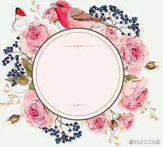 اطارات ورود فارغه للتصميم اجدد الاطارات والبراويز للكتابه عليها2018 vector flowers floral border design flower frame