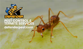 Want to see our cost of course, professional pest control isn't free. Sacramento Pest Control Rodent Extermination Termite Inspections