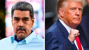 Elsa Crespo (@elsacrespo13)