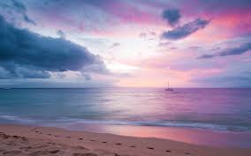 13 Best Free Beach Background Wallpapers Of 2021