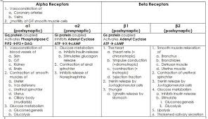 alpha beta receptors adrenergic receptors pharmacology