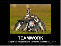 Check spelling or type a new query. Funny Animal Teamwork Quotes Quotesgram