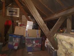 What do pest control companies use? Loft Cleaning Attic Cleaning Insulation Waste And Rodent Waste Removal