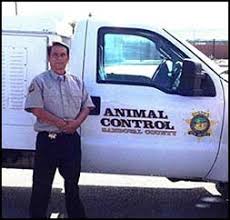 There are 2 animal shelters in rio rancho, new mexico, serving a population of 93,317 people in an area of 104 square miles. Animal Control Sandoval County