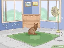 Cats can get dehydrated quickly, so give them plenty of fresh, clean water when it's hot or humid outdoors. 3 Ways To Cool Your Cat Down In The Summer Wikihow