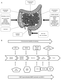 Was that because treatment worked better in the patients. Emerging Trends In Colorectal Cancer Dysregulated Signaling Pathways Review