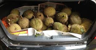 Kapok naik kereta api ke bali. 5 Cara Hilangkan Bau Durian Dalam Kereta Yang Paling Mujarab No 1 Dan 2 Ramai Tak Tahu Impiana