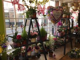 Browse our flowers by occasion or even by collections to make sure you pick the right bouquet for your loved one. Shirley Snells Shirleysnells Twitter