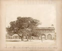 Delhi Durbar: Empire, Display and the ...