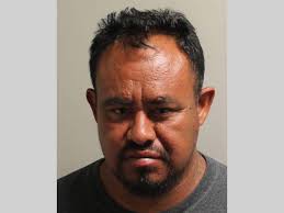 LCSO Daily Booking Report