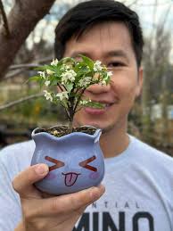Indoor Small Grow Using Gourd Shell for Winter