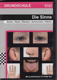 Die Sinne Sehen Horen Riechen Schmecken Fuhlen