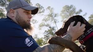 15 Service Dogs Who Are Ridiculously Good At Their Jobs