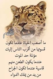 Pin By فلسطينية ولي الفخر On حقيقة Cool Words Profile Picture For Girls Funny Pictures