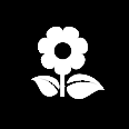 She studied in london's fashionable knightsbridge area as well as amsterdam, tokyo and bejing. Send Flowers Fair Oak By Flowers By Joanne