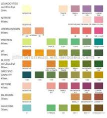 Siemens Urine Test Strip Color Chart Best Picture Of Chart