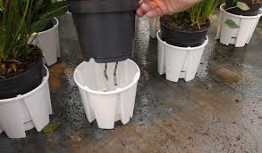 See the top reviewed local landscape contractors in residential landscape companies in miami, fl also handle many of the same general duties as builders, including arranging for construction permits. Easy Watering For Pot Plants Viscon Group